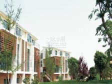 清水独栋别墅花园4百平独立双车库客厅挑高户型方正