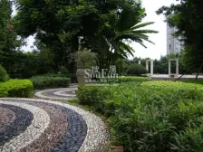 纯洋房上下两层带花园,室内使用面积220平左右带露台