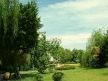九龙半岛少有版式洋房 户户带露台花园