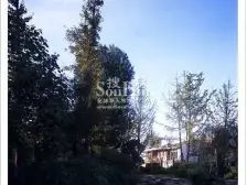 水天花园 横厅大阳台 可看翡翠湖 视野开阔