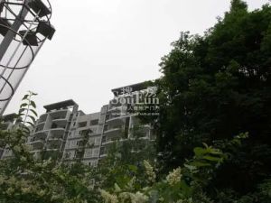 世纪光华3室2厅南
