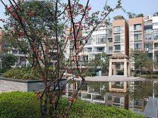 六街区 精装修三房保养好 看中庭 视野好 拎包入住