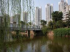 鲁能六街区,南北通透,精装修,近公园近轻轨带巴标