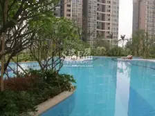 此房满五唯一 免增值税 个税 4房2卫 高楼层 环境优美