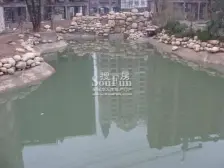 近地铁 摩天轮 山姆和万象城旁 红角洲 价格实惠好出租