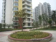 橘子国花6室4卫可分2家 小高层复试 善耕 草桥未用满5V一