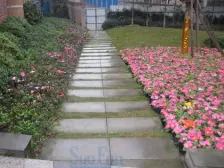 住家装修,环境优美,诚心出售,居家安静