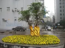 诺丁阳光 1室1厅 东南