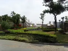 电梯房,采光好 中间楼层 必看好房