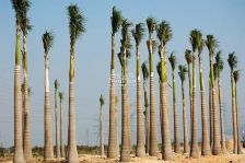 今湾地区靓房毛坯3房优惠可谈