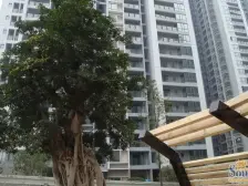 伟岸滨洲正规3室2厅2卫安心出售