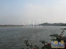 恒大御景半岛 独栋 别墅 南北对流 带私家花园