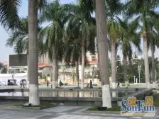 东海阳光 精装一房 地铁口物业 黄旗山旁 生活方便