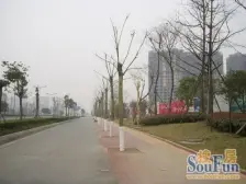 时代晶科名苑 3室2厅 北