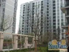 中环一号(一期) 4室2厅 东 西 南 北