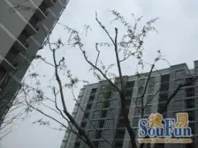 经典小三房两卫 装修好诚意出售 欢迎看房