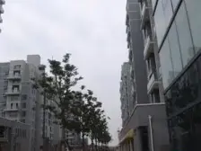 房子南北通小三房,满五不w一,电梯高区,看房随时
