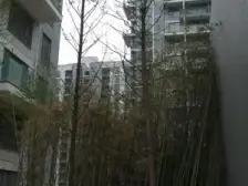 中环一号4室南朝向990.00万元/套出售