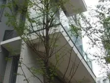 别墅享受,公寓价钱,带花园,双层地下室,产证面积350平