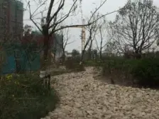 又降价了!洋房社区,电梯中区精品大四房。