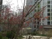 中环一号二期(琉樽尚品) 3室2厅 南 北