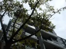 大华·中环一号(一期)·4室·2厅