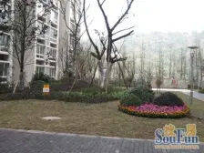 弹子石 东海星洲二房65万