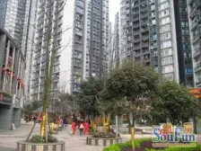 弹子石 东海星洲四房105万