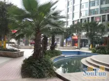 弹子石 东海星洲五房105万