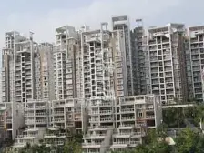 鲁能星城五街区住家装修三房出售