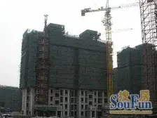 三开间朝南 带电梯 房龄新 位置好