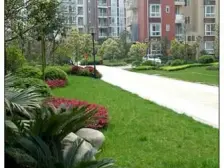 头排看江洋房 诚心出售 板式采光好 价格美丽