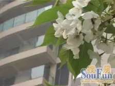 中渝山顶道壹号超个性两室改一室精装修保持好带地暖中央空调