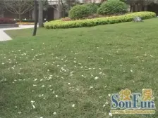 紫禁之巅精装三房 9米客厅外阳台高楼层视野巴适