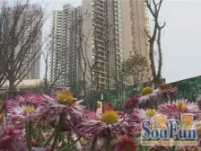 山顶道壹号 2室1厅 东南