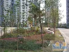 经开区 巨成龙湾一房