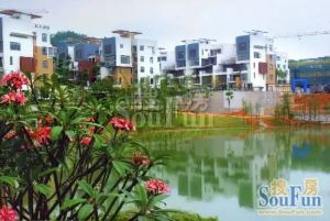 金地荔湖城,地理位置优越的。2.公交地铁十分方便。出行方便