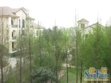 蓝光品质联排别墅 带200平左右大花园 端户采光好