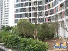 融侨 一米阳光一房43万