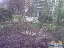 星城汇 4室1厅 北