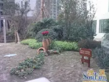 星城汇 3室2厅 南