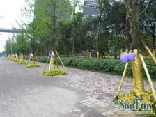 龙湖高品质楼盘 既朝中庭又看江 另有车位出售