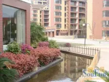 紫金园端户,南北通透两房,双阳台,好楼层