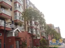 精装修,中间楼层,视野好、全天采光。