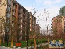 紫金园东区 2室1厅 南 北