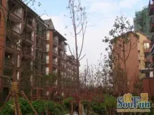 红角洲紫金园精装三房,读南大附 中附 小