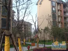 紫金园二期 南北通透,采光好 装修好,环镜优美 视野好,诚心出售