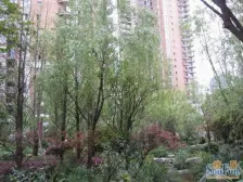 9号线旁 小2房 业主诚心出售 拎包入住