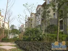 上叠端户 带屋顶花园 视野好 住家安静 朝南 眼光充足