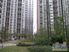 东海星洲 大跃层 轻轨环线331米